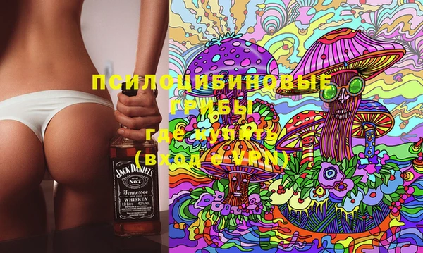 spice Арсеньев