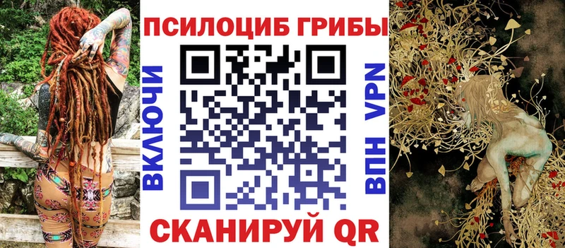 Галлюциногенные грибы Cubensis МЕГА как войти Спасск-Дальний купить наркотики сайты